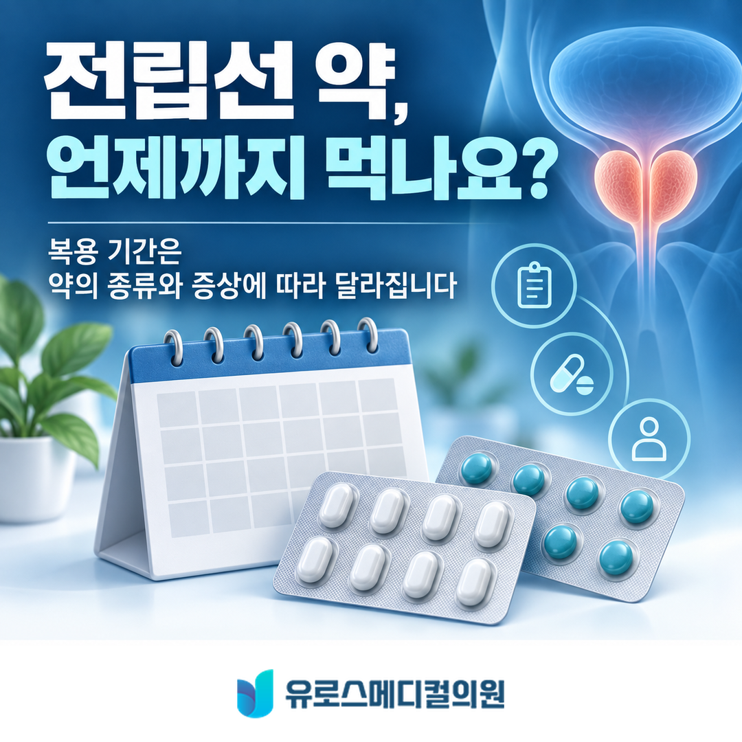 전립선 약 언제까지 먹나요? 좋아진 뒤 중단하기 전 확인할 점 썸네일