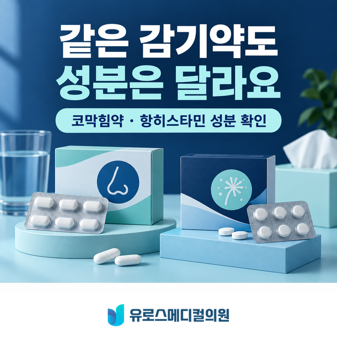 감기약 성분 확인