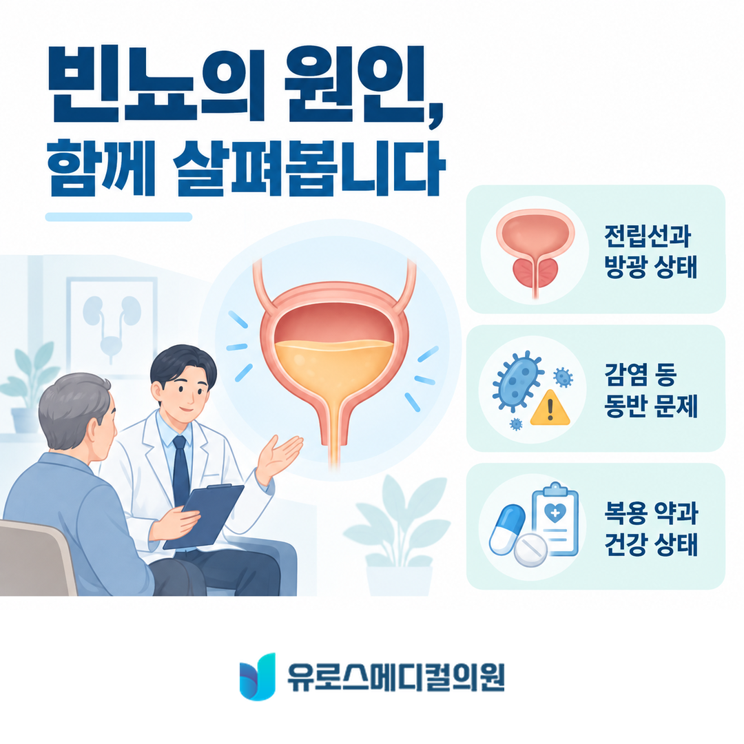 전립선과 방광, 함께 보는 이유